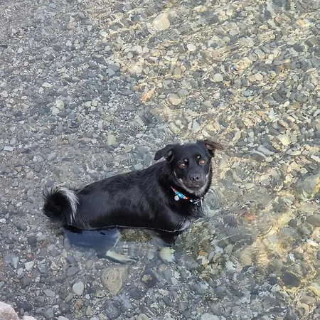 Magic Apartment Zadar